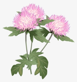 A Bouquet Of Summer Flowers Clip Art - Thistle Flower Clipart #1675105