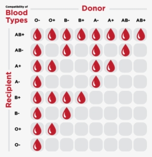 Thumbnail - Blood Types #1675265