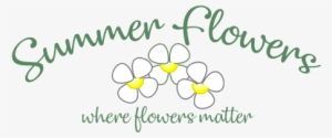 Summer Flowers Florist In West Wickham And Croydon - Croydon #1675674