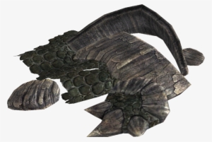 Dragon Scales - Escamas De Dragon Skyrim #1675859