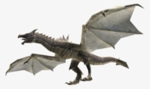 Best Xbox Live Avatar Costumes And Gearskyrim Dragon - Dragon #1676182