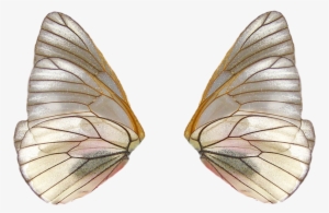 Share This Image - Fairy Wings Png #1677159