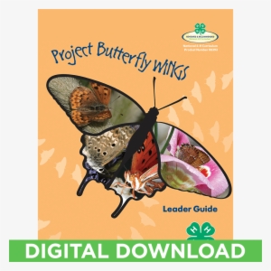 Butterfly Wings Curriculum Facilitator Guide Digital - Lycaenid #1677274