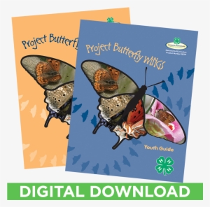 Butterfly Wings Curriculum Set Of 2 Digital Download - Butterfly #1677429
