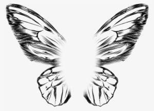 Asas Butterfly Wings Editing Picsart Pretty Png Asas - Drawing #1677651