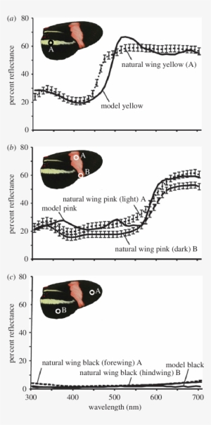 Reflectance Spectra Of Natural And Artificial Butterfly - Tongue #1677779
