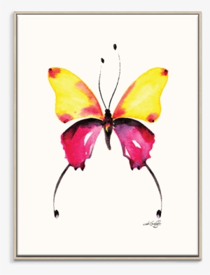Home - August Grove 'butterfly 9' Watercolor Painting Print #1677826