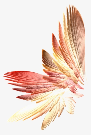 Tinkerbell Wings Png Download - Png Fairy Wings Transparent #1677877