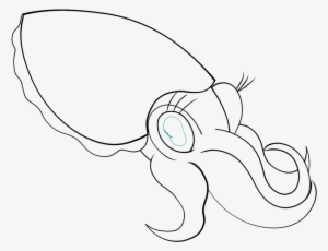 Cuttlefish Drawing At Getdrawings - Cuttlefish Drawing #1678146