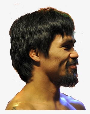 Manny Pacquiao, Floyd Mayweather Jr - Manny Pacquiao Profile #1679120