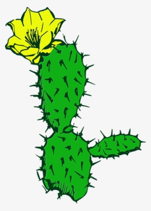 Flora De Desierto Png #1679710