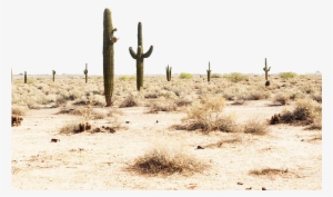 Desert Png Transparent Image - Photography #1679794