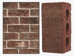 Color - House #1680042