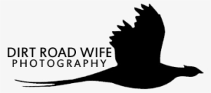 Cropped Drw Logo Black Transparent Square 1 - Seabird #1680456