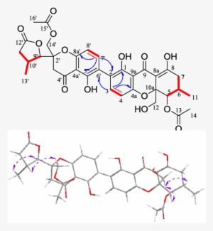 H-1 H Cosy , Key Hmbc (blue Arrow - Diagram #1681049