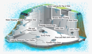 Foundation, Repair, Problem, Wet, Leaky, Walls, Leaking, - Digging A Basement #1681218