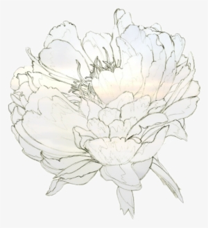 Ornate Gold Frame Vector - Drawing #1681595