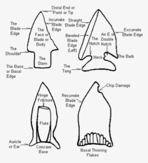 Standard Projectile Point Terminology - Native Americans In The United States #1681806