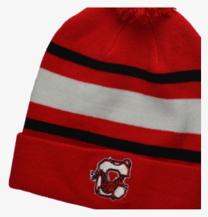 Winter Items Sale - Knit Cap #1684116