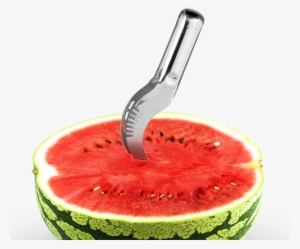 Melon Slicer Knife #1685171