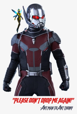 Ant-man And The Wasp Cartoon T Shirts, Cat Shirts, #1686114 Ant-man And The Wasp Cartoon T Shirts, Cat Shirts, #1686114