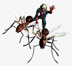 Ant-man Well, Back To Sucking Again - Ant Man En Png #1686196