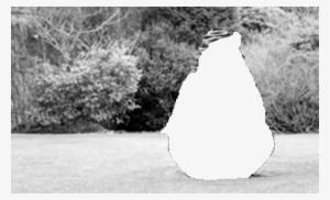 Recovered Figure-ground Segmentation - Monochrome #1688706