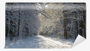 Snow Bridge #1688806