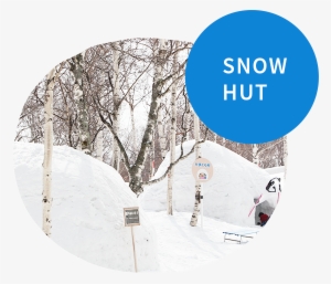 The Huts Are Tiny Houses Made Out Of Snow, Surprisingly - Tree #1688874