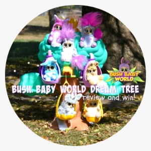 Jasnor Bush Baby World Dream Tree Review And A Bush #1689888