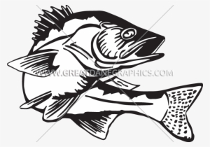 Production Ready Artwork For - Walleye Fish Black And White #1690665