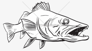 Graphic Freeuse Production Ready Artwork For T Shirt - Wall Eye Fish Drawing #1690750