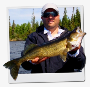 Walleye Tips, Baits & Lures - Pull Fish Out Of Water #1690771