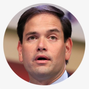 Rubio - Plate #1691043