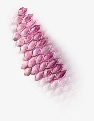 Must Follow N Share - Lavender #1691291