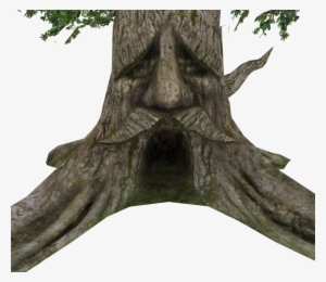 Download Zip Archive - Great Deku Tree Hyrule Warriors #1691807