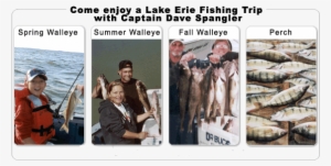 Come Enjoy A Lake Erie Charter Fishing Trip For Walleye - Lake Erie #1692019