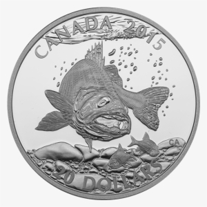 Fine Silver Coin - Silver #1692309