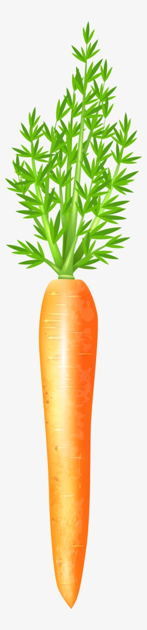 Carrot Clipart Frame - Carrot #1692551