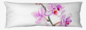 Orchid Flowers Watercolor Hand Drawn Botanical Illustration - Cushion #1692553 Orchid Flowers Watercolor Hand Drawn Botanical Illustration - Cushion #1692553