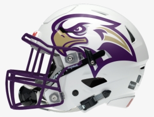 1 Helmet - Charlotte 49ers Football Helmet #1692909