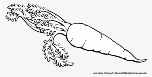 Carrot Clipart Fruits And Vegetable - Vegetable Clip Art Black And White #1692913
