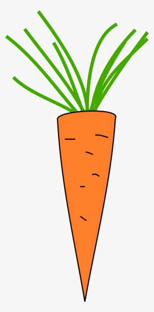 Free Download Copyright Free Carrot Clipart Carrot - Copyright Free Clipart Carrot #1693108