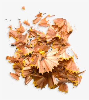 Jelly Belly The Most Disgusting Bean Boozled Jelly - Pencil #1694514