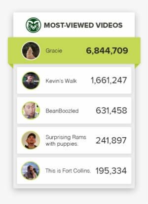 Gracie The Golden - Colorado State University #1694689