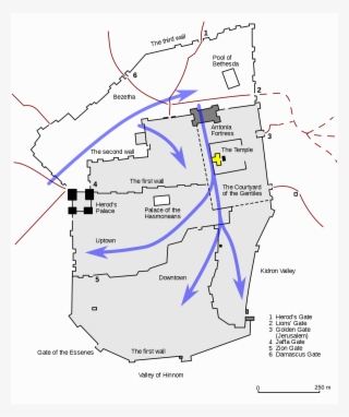 Products - Coffee Cup #1695022