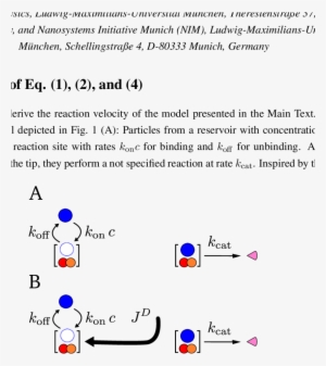 Particles From A Reservoir With Concentration C Bind - Chemical Reaction #1696446
