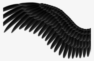 It's Possible That Dell Demps Is Going To Accept That - Asas Pretas Png #1697793