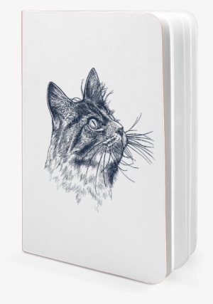 Dailyobjects Cat Eye A6 Notebook Plain Buy Online In - Sketch #1697813