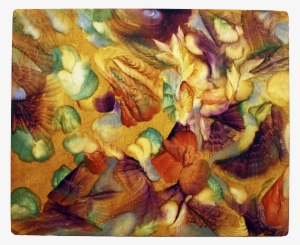 Juegos De Sol - Still Life #1698459